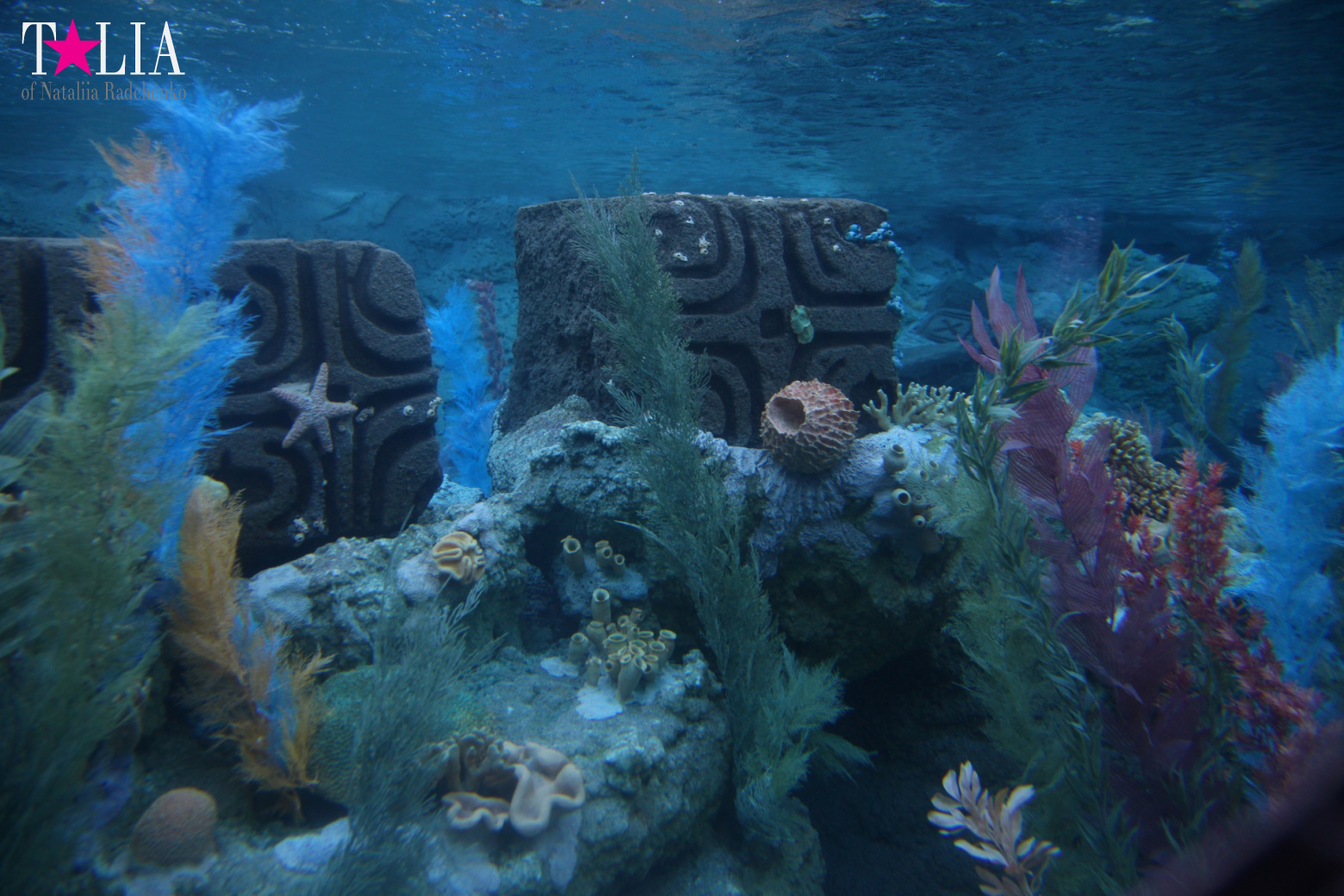 Диснейленд в Калифорнии (Анахайм, Лос Анжелес). Аттракционы